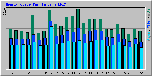 Hourly usage for January 2017